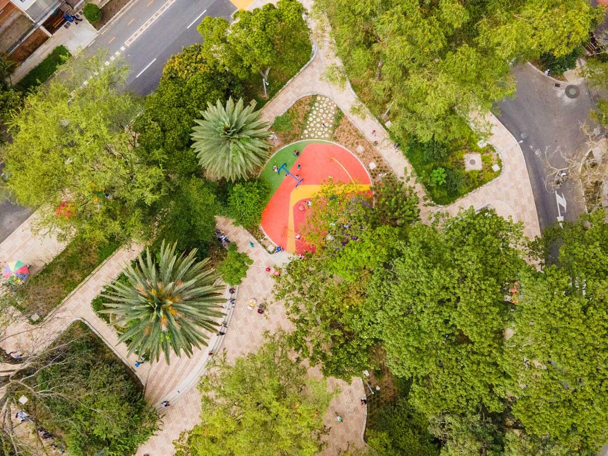 parque floresta